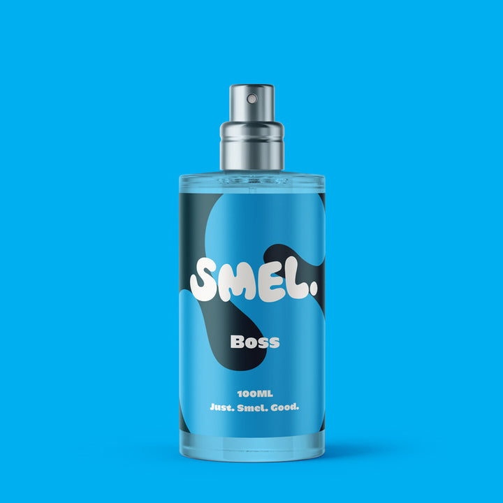 Smel Men Perfume | Best Perfume for Men with a Refreshing Scent – Smel.